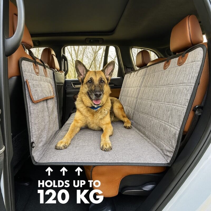 Snoutscout™ Cozy Cruiser