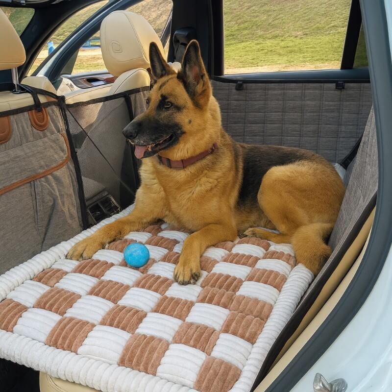 Snoutscout™ Cruizer Cushion