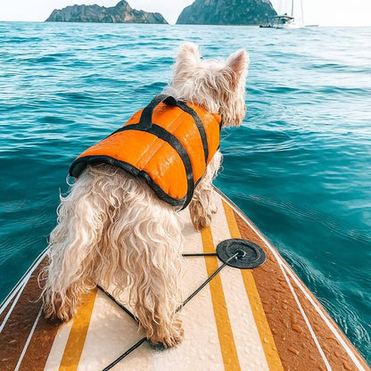 Snoutscout™ Adventure Vest