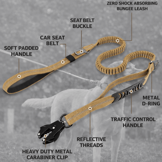 Snoutscout™ Lifestyle Leash